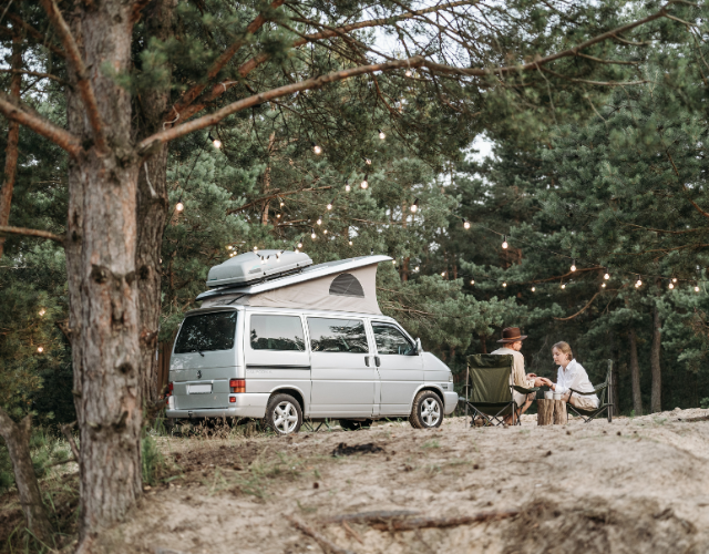 VanLifes VanLifes 1