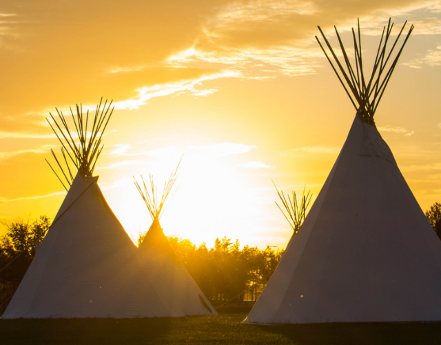 tipi
