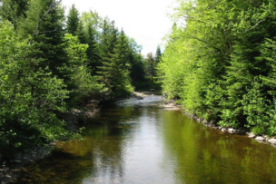 Baignade dans la rivière sacrée aux pépites d'or
